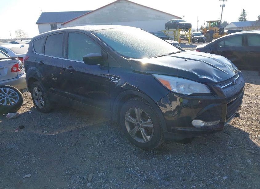 2014 Ford Escape SE (VIN 1FMCU9GX5EUB91998) main photo