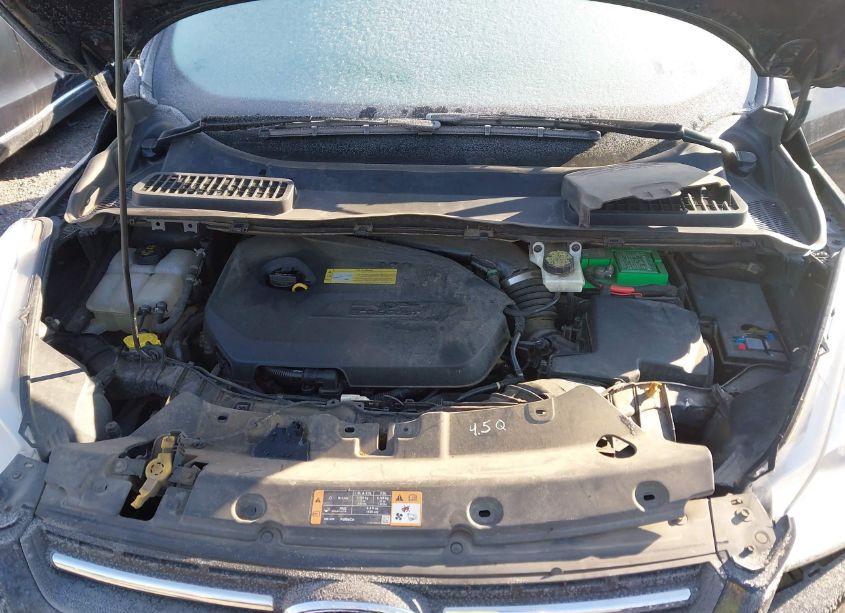 Photo 10 of 2014 Ford Escape SE (VIN 1FMCU9GX5EUB91998)