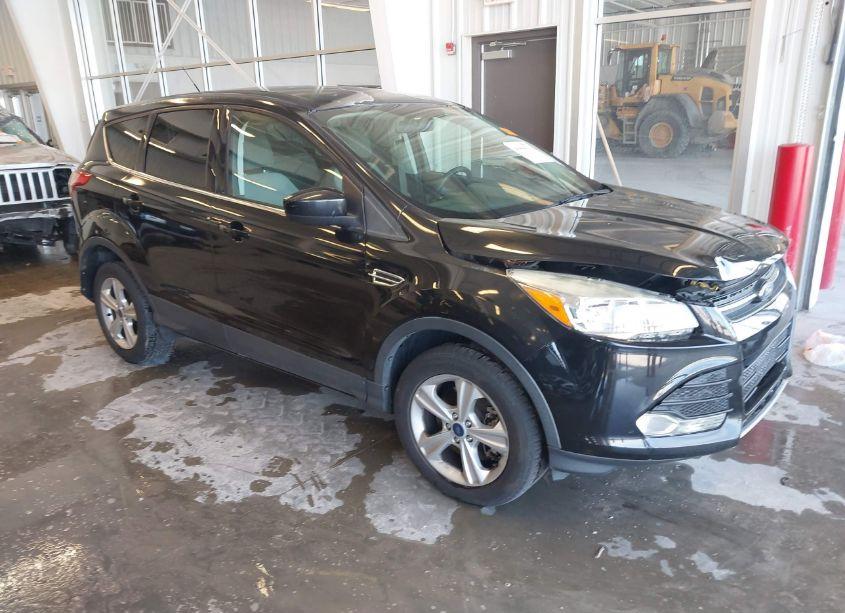 2014 Ford Escape SE (VIN 1FMCU9GX5EUC60981) main photo