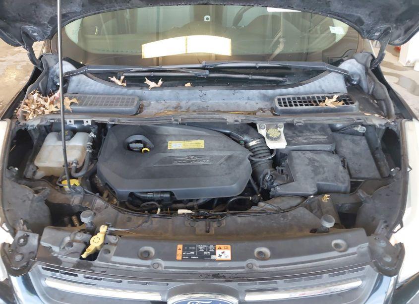 Photo 10 of 2014 Ford Escape SE (VIN 1FMCU9GX5EUC60981)