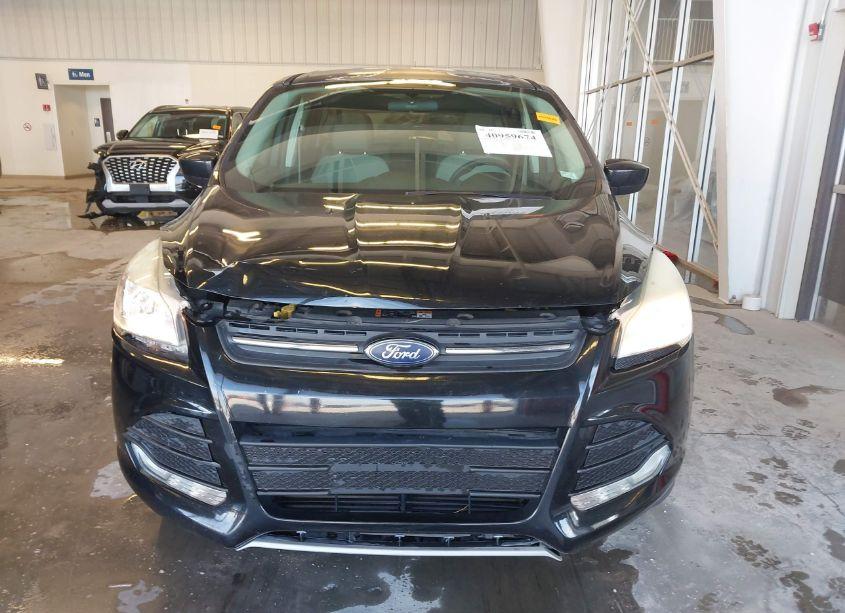 Photo 12 of 2014 Ford Escape SE (VIN 1FMCU9GX5EUC60981)