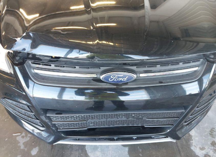 Photo 18 of 2014 Ford Escape SE (VIN 1FMCU9GX5EUC60981)