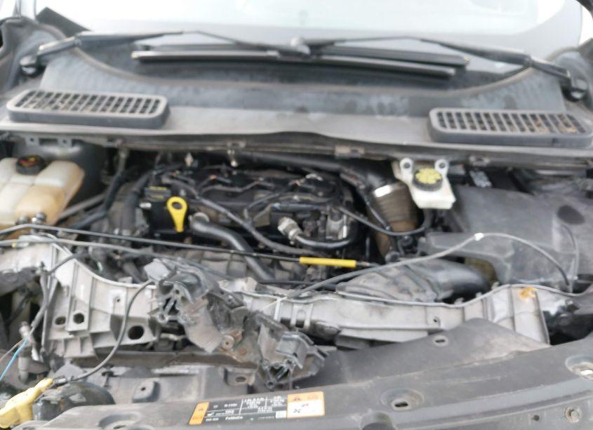 Photo 10 of 2014 Ford Escape SE (VIN 1FMCU9GX5EUD42600)