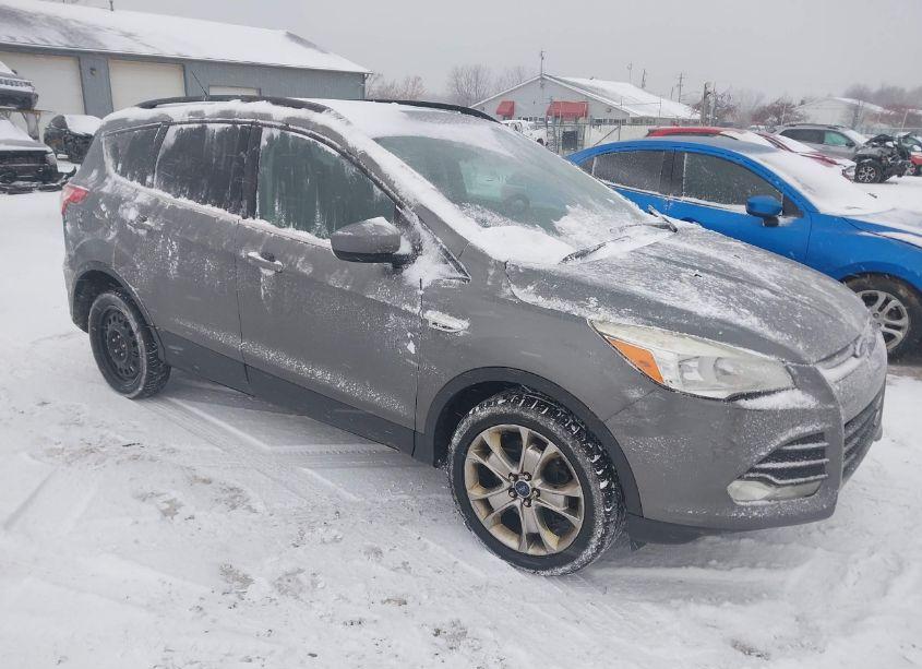 2014 Ford Escape SE (VIN 1FMCU9GX5EUD62801) main photo
