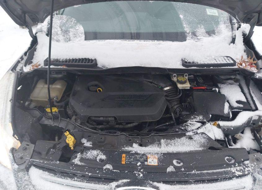 Photo 10 of 2014 Ford Escape SE (VIN 1FMCU9GX5EUD62801)