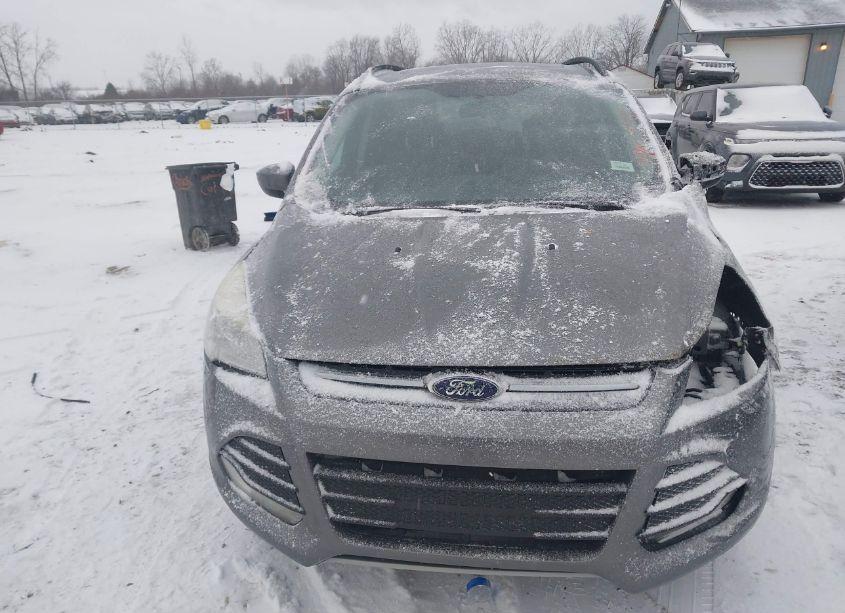 Photo 13 of 2014 Ford Escape SE (VIN 1FMCU9GX5EUD62801)