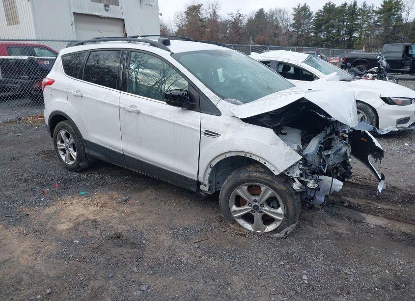 2014 Ford Escape SE (VIN 1FMCU9GX5EUE14878) main photo