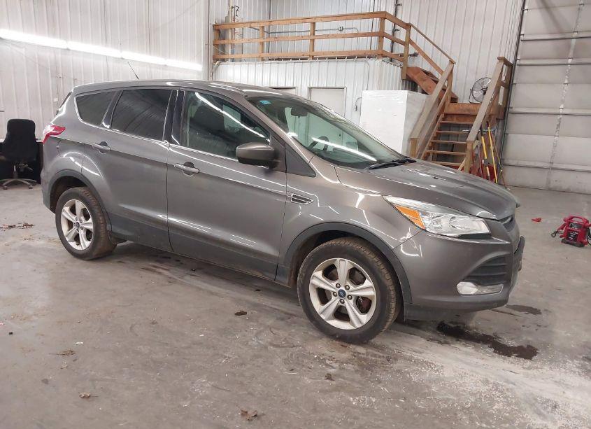 2014 Ford Escape SE (VIN 1FMCU9GX5EUE40459) main photo