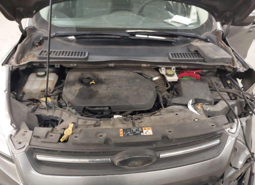 Photo 10 of 2014 Ford Escape SE (VIN 1FMCU9GX5EUE40459)