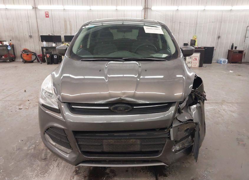 Photo 13 of 2014 Ford Escape SE (VIN 1FMCU9GX5EUE40459)