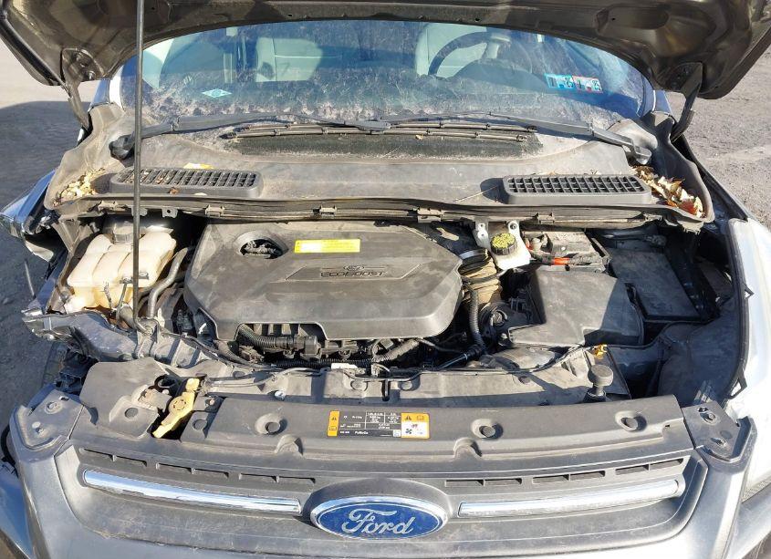 Photo 10 of 2015 Ford Escape SE (VIN 1FMCU9GX5FUC39601)