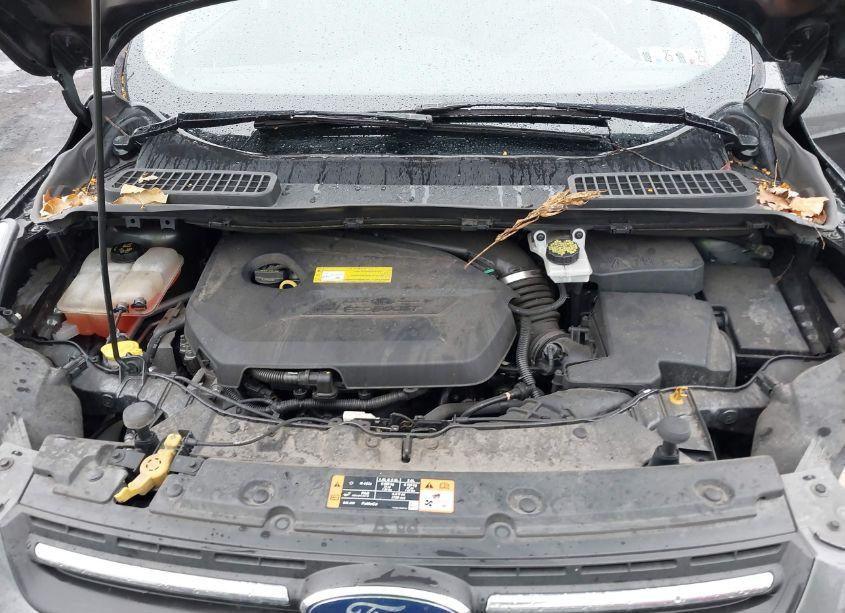 Photo 10 of 2016 Ford Escape SE (VIN 1FMCU9GX5GUA89796)