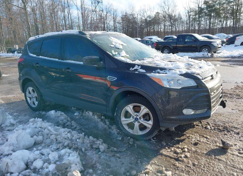 2016 Ford Escape SE (VIN 1FMCU9GX5GUB46126) main photo