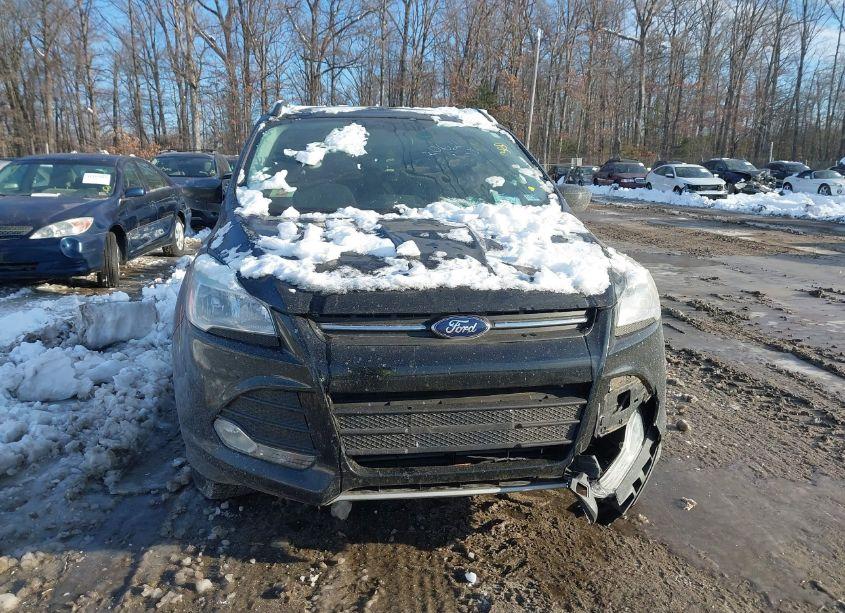 Photo 12 of 2016 Ford Escape SE (VIN 1FMCU9GX5GUB46126)