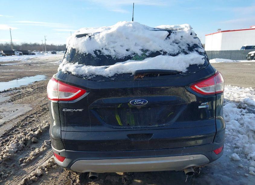 Photo 16 of 2016 Ford Escape SE (VIN 1FMCU9GX5GUB46126)