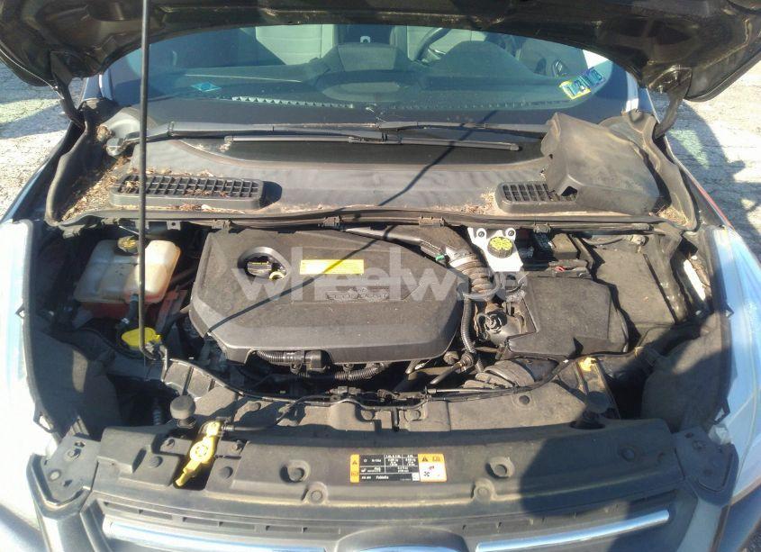 Photo 10 of 2016 Ford Escape SE (VIN 1FMCU9GX5GUB65484)