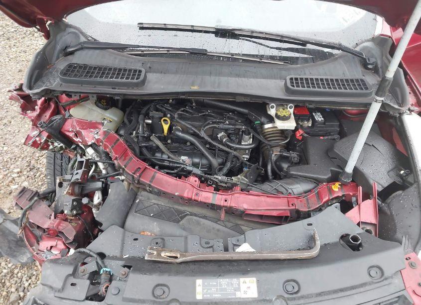 Photo 10 of 2013 Ford Escape SE (VIN 1FMCU9GX6DUB07086)