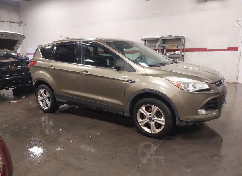 2013 Ford Escape SE (VIN 1FMCU9GX6DUD24718) main photo