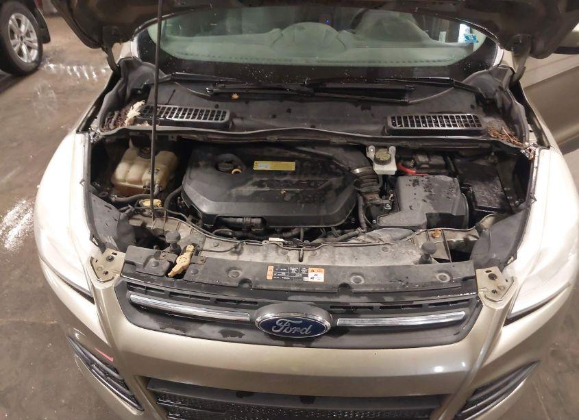 Photo 10 of 2013 Ford Escape SE (VIN 1FMCU9GX6DUD24718)