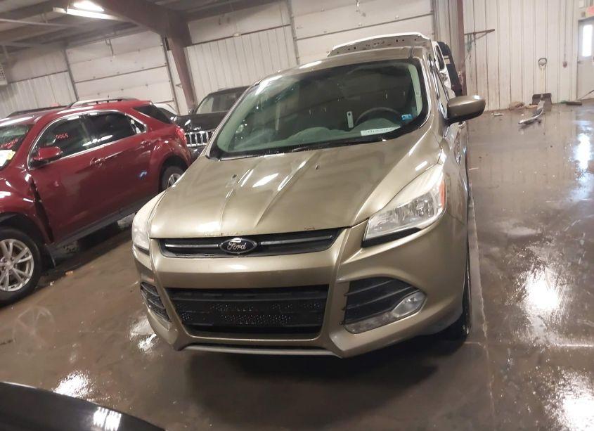 Photo 13 of 2013 Ford Escape SE (VIN 1FMCU9GX6DUD24718)