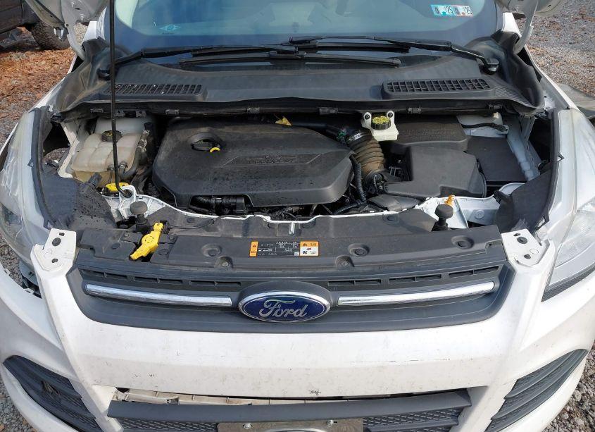 Photo 10 of 2014 Ford Escape SE (VIN 1FMCU9GX6EUA75452)