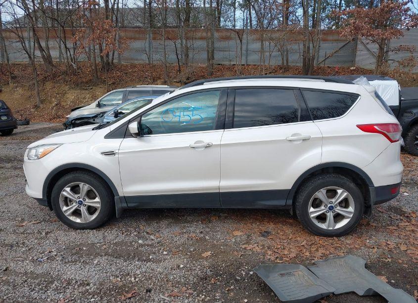 Photo 12 of 2014 Ford Escape SE (VIN 1FMCU9GX6EUA75452)