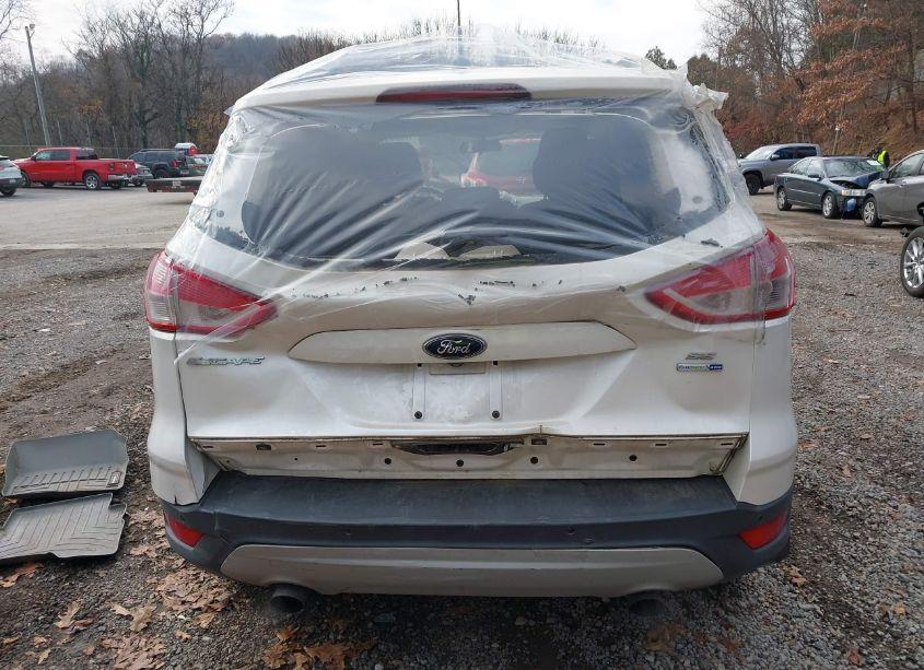 Photo 14 of 2014 Ford Escape SE (VIN 1FMCU9GX6EUA75452)