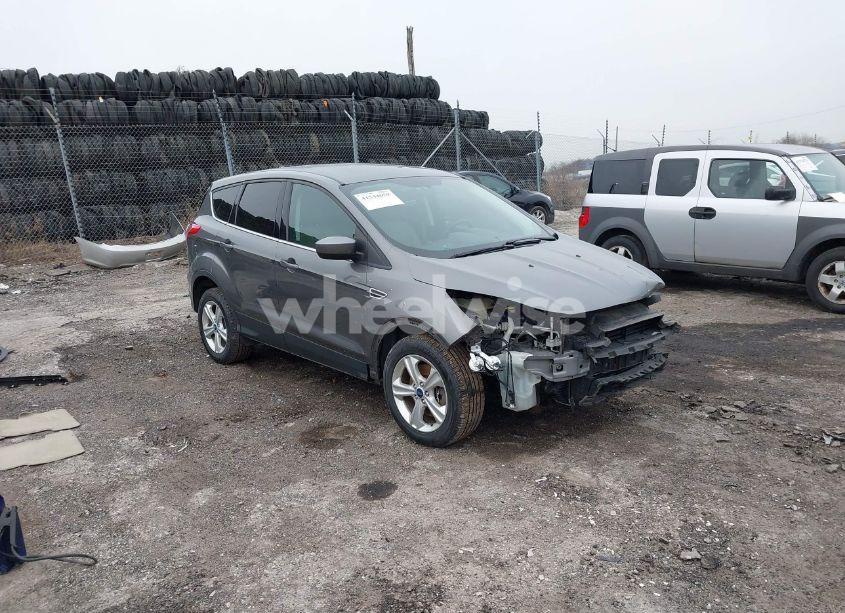 2014 Ford Escape SE (VIN 1FMCU9GX6EUB09826) main photo