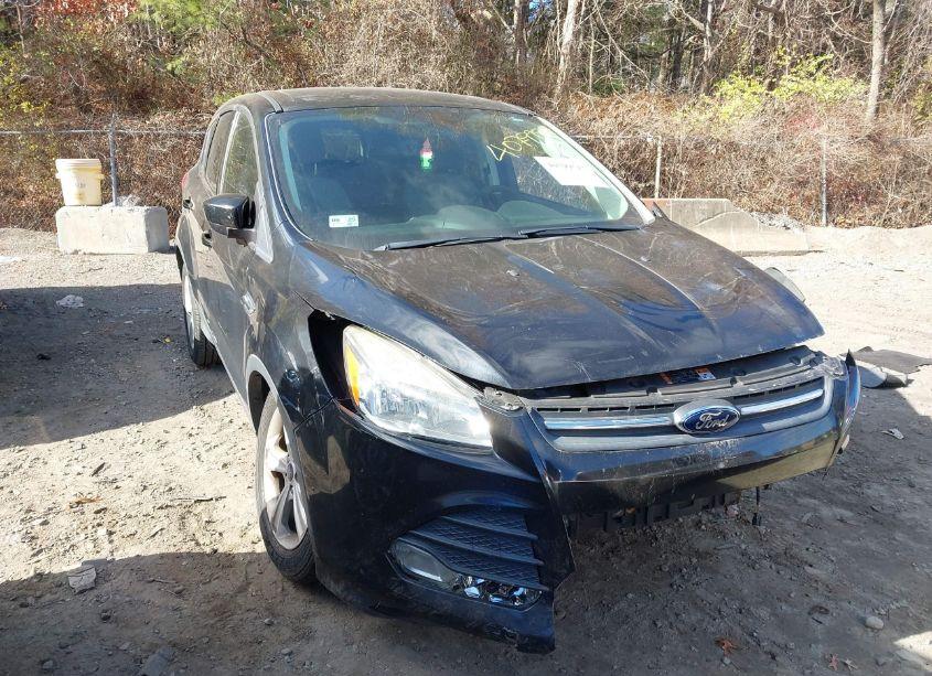 2014 Ford Escape SE (VIN 1FMCU9GX6EUC48287) main photo