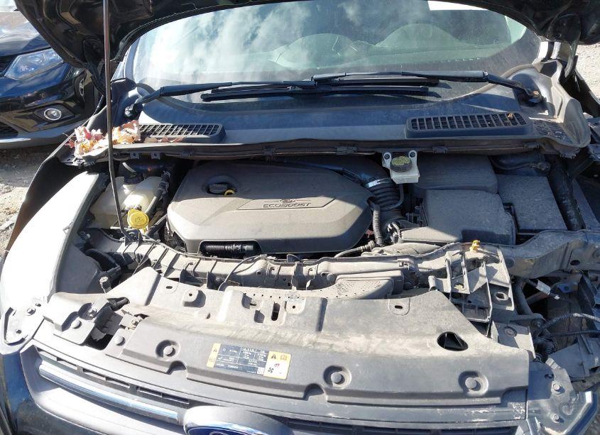 Photo 10 of 2014 Ford Escape SE (VIN 1FMCU9GX6EUC48287)