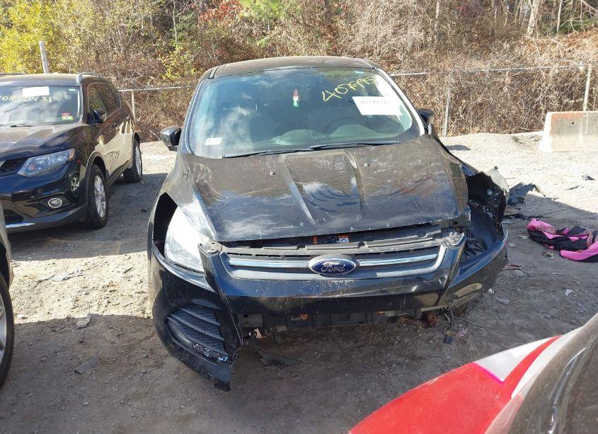 Photo 12 of 2014 Ford Escape SE (VIN 1FMCU9GX6EUC48287)