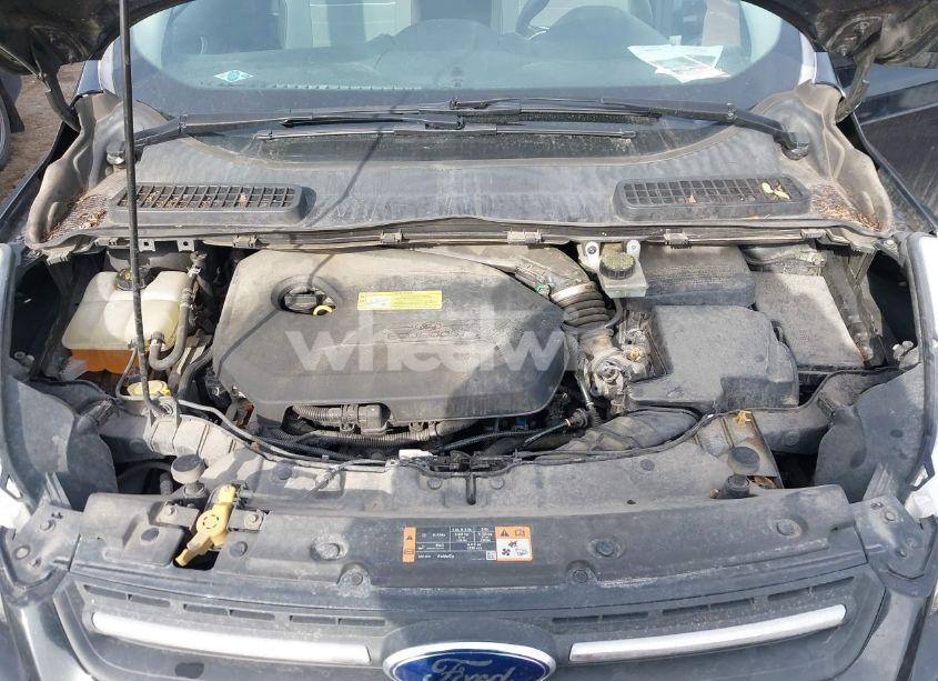 Photo 10 of 2014 Ford Escape SE (VIN 1FMCU9GX6EUC83072)