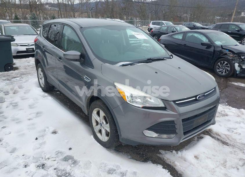 2014 Ford Escape SE (VIN 1FMCU9GX6EUD55534) main photo