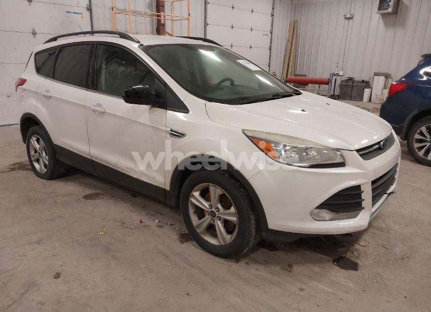 2014 Ford Escape SE (VIN 1FMCU9GX6EUE02397) main photo
