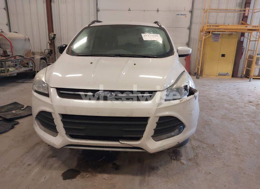 Photo 6 of 2014 Ford Escape SE (VIN 1FMCU9GX6EUE02397)