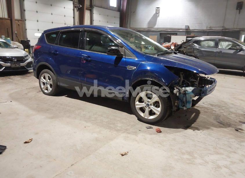 2014 Ford Escape SE (VIN 1FMCU9GX6EUE32631) main photo