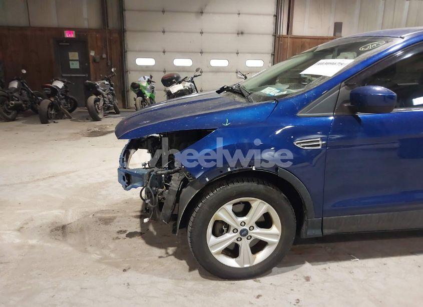 Photo 14 of 2014 Ford Escape SE (VIN 1FMCU9GX6EUE32631)