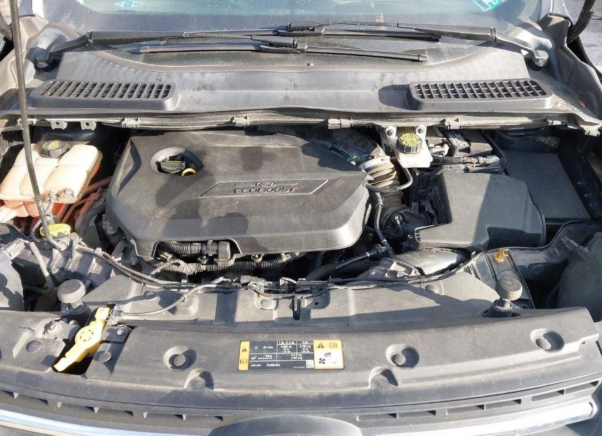 Photo 10 of 2015 Ford Escape SE (VIN 1FMCU9GX6FUA13969)