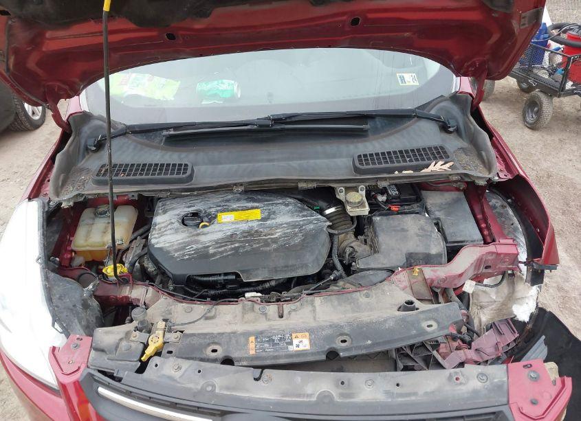 Photo 10 of 2015 Ford Escape SE (VIN 1FMCU9GX6FUA75694)