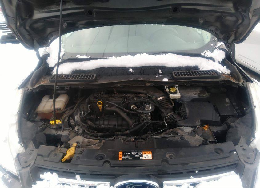 Photo 10 of 2015 Ford Escape SE (VIN 1FMCU9GX6FUA97792)