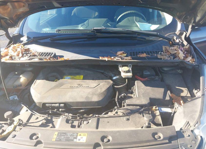 Photo 10 of 2015 Ford Escape SE (VIN 1FMCU9GX6FUC84577)