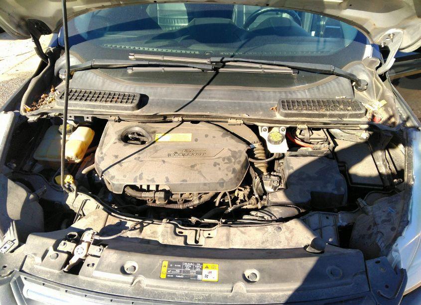 Photo 10 of 2016 Ford Escape SE (VIN 1FMCU9GX6GUA71646)