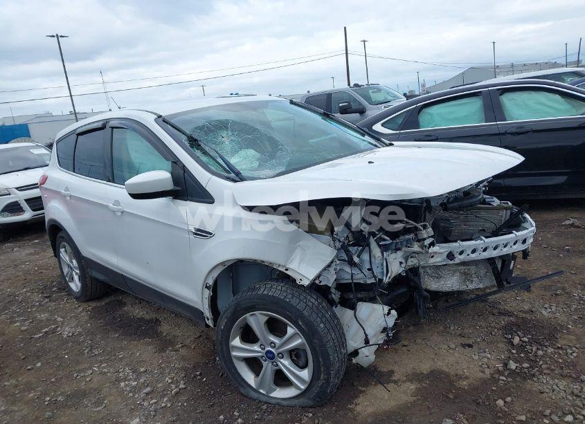 2013 Ford Escape SE (VIN 1FMCU9GX7DUB35365) main photo