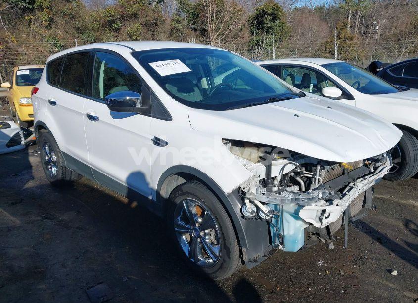 2013 Ford Escape SE (VIN 1FMCU9GX7DUB97915) main photo