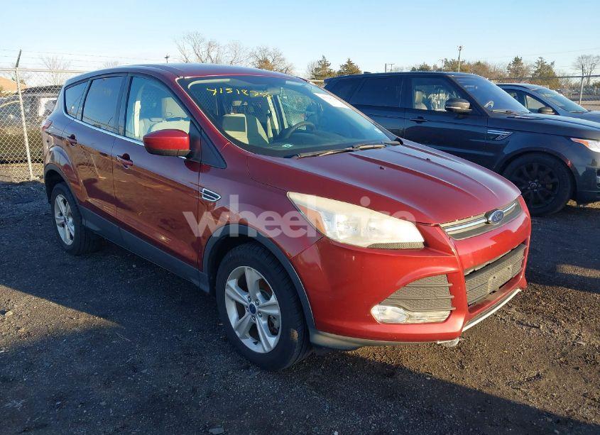 2014 Ford Escape SE (VIN 1FMCU9GX7EUA19889) main photo