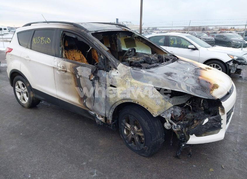 2014 Ford Escape SE (VIN 1FMCU9GX7EUA27796) main photo