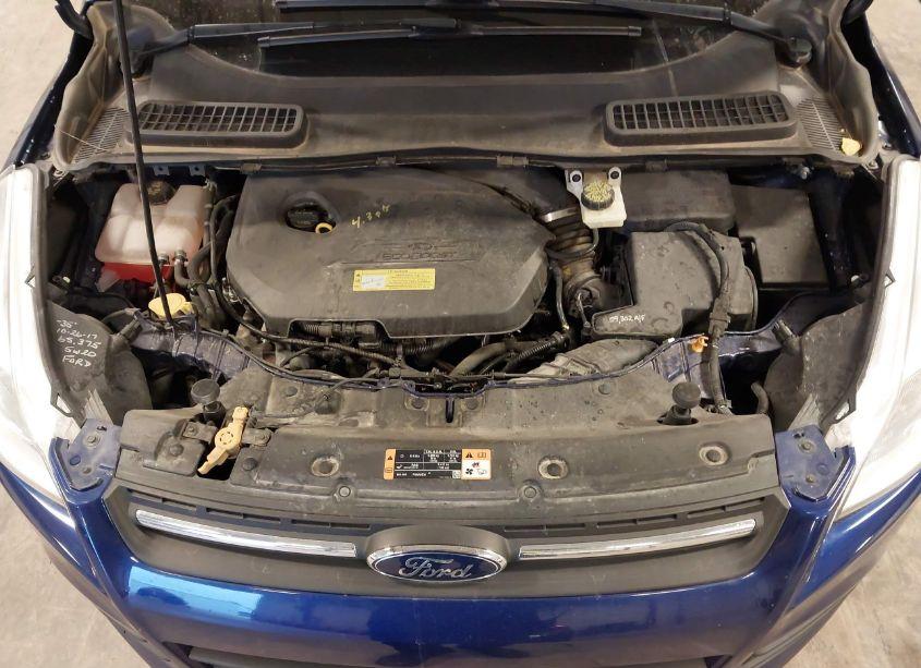 Photo 10 of 2014 Ford Escape SE (VIN 1FMCU9GX7EUA74679)