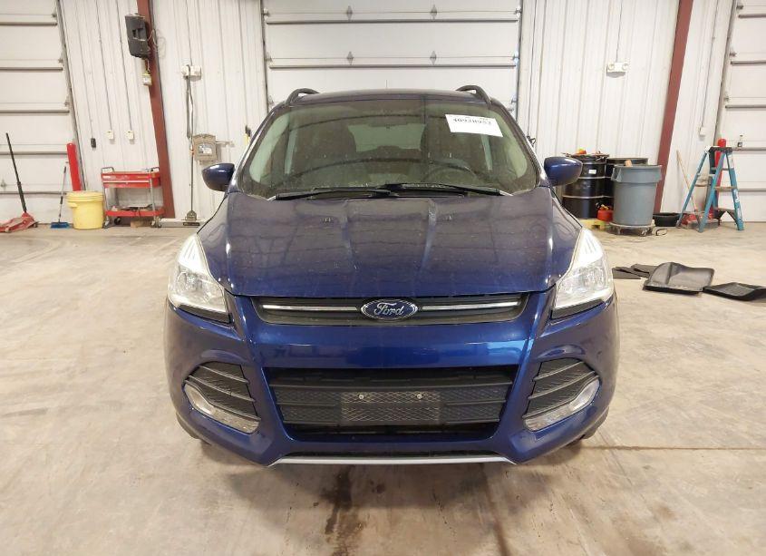 Photo 12 of 2014 Ford Escape SE (VIN 1FMCU9GX7EUA74679)