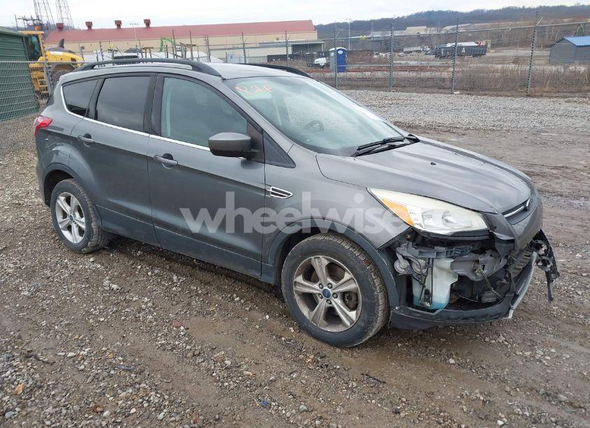 2014 Ford Escape SE (VIN 1FMCU9GX7EUA91188) main photo