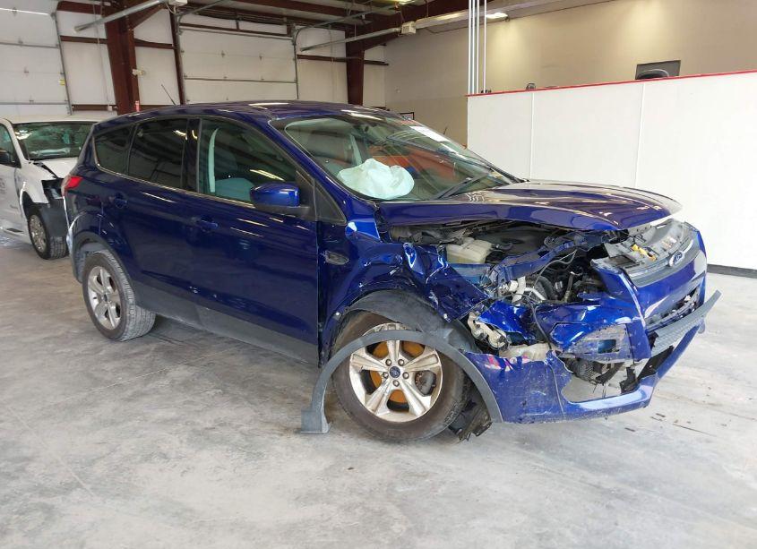 2014 Ford Escape SE (VIN 1FMCU9GX7EUC01012) main photo